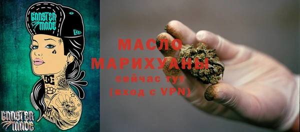 сатива Ельня