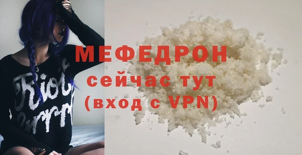 сатива Ельня