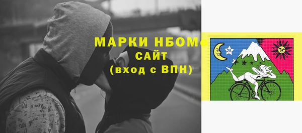 сатива Ельня
