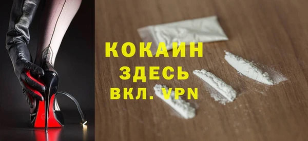 сатива Ельня