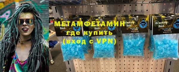 сатива Ельня