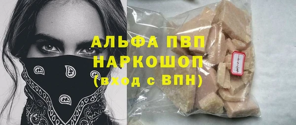 сатива Ельня