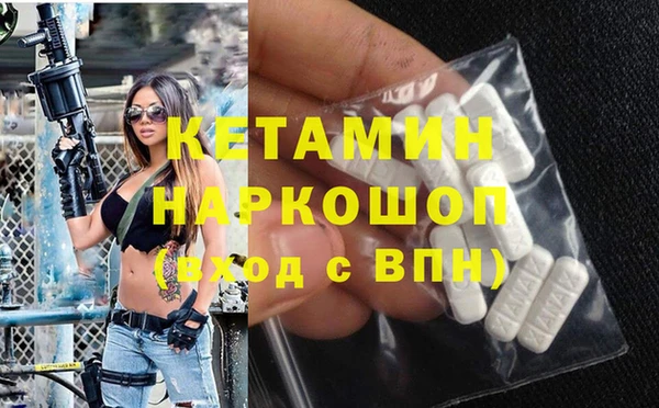 сатива Ельня