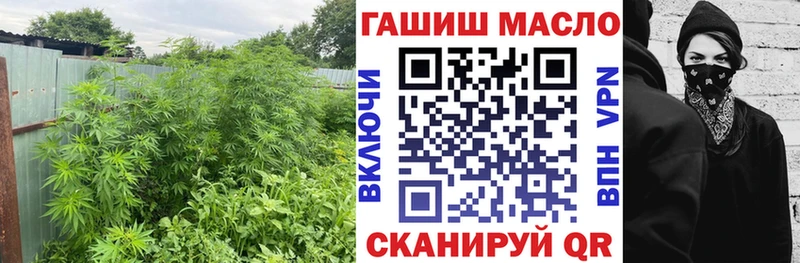 Купить закладки  Плёс  ТГК концентрат 