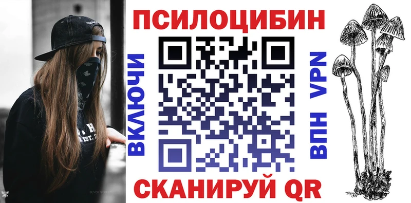 Купить где  Плёс  Псилоцибиновые грибы Cubensis 